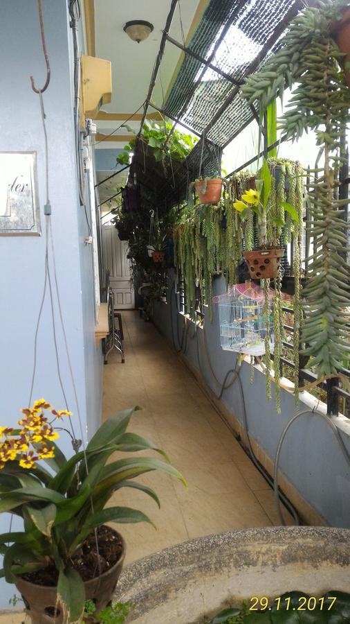 Homstay An Nhien Da Lat Exterior photo